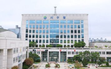 대전 서구, 2026년도 상반기 공공일자리사업 참여자 모집 : 네이트 뉴스