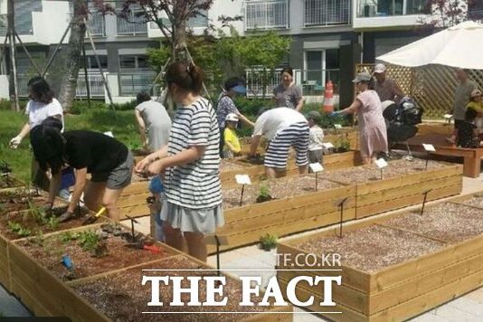 배재대, 대전 유일 국가기술자격 ‘2급 치유농업사 양성기관’ 선정 – 전국 | 기사